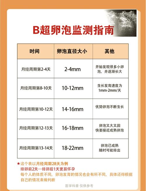 手把手揭秘石家庄试管助孕需要促排卵吗